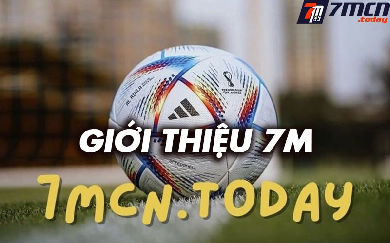 Giới thiệu lamuchonjo.com
